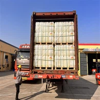 DTBP|CAS 110-05-4|Di-tert-butylperoxid